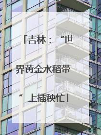 吉林：“世界黄金水稻带”上插秧忙