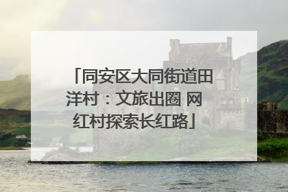 同安区大同街道田洋村：文旅出圈 网红村探索长红路