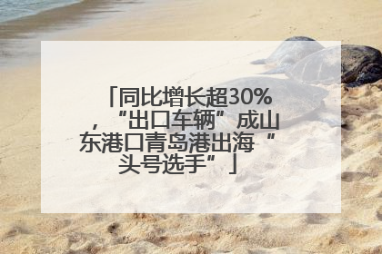 同比增长超30%，“出口车辆”成山东港口青岛港出海“头号选手”