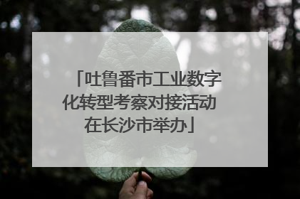 吐鲁番市工业数字化转型考察对接活动在长沙市举办