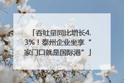 吞吐量同比增长4.3%！泰州企业坐享“家门口就是国际港”