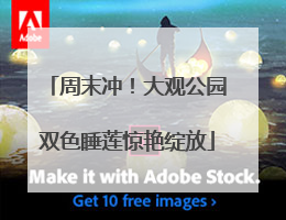 周末冲！大观公园双色睡莲惊艳绽放