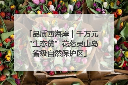 品质西海岸｜千万元“生态贷”花落灵山岛省级自然保护区