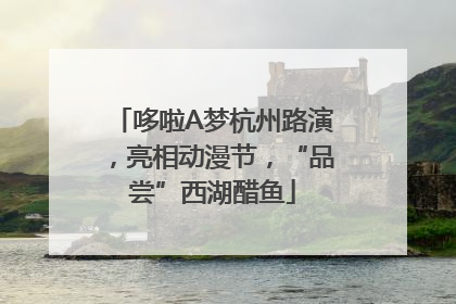 哆啦A梦杭州路演，亮相动漫节，“品尝”西湖醋鱼