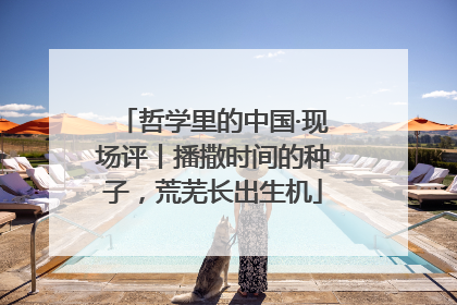 哲学里的中国·现场评丨播撒时间的种子，荒芜长出生机