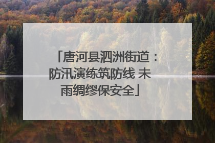 唐河县泗洲街道：防汛演练筑防线 未雨绸缪保安全