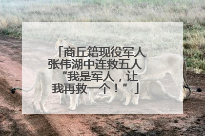 商丘籍现役军人张伟湖中连救五人 “我是军人，让我再救一个！”