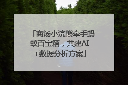 商汤小浣熊牵手蚂蚁百宝箱，共建AI+数据分析方案