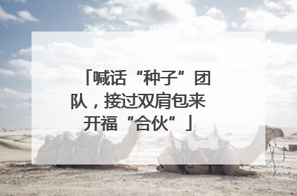 喊话“种子”团队，接过双肩包来开福“合伙”
