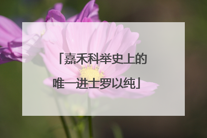 嘉禾科举史上的唯一进士罗以纯