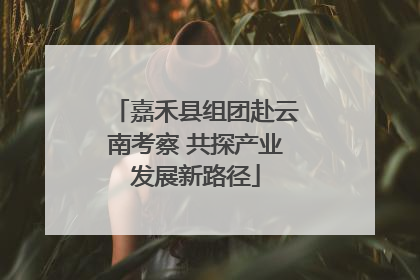 嘉禾县组团赴云南考察 共探产业发展新路径