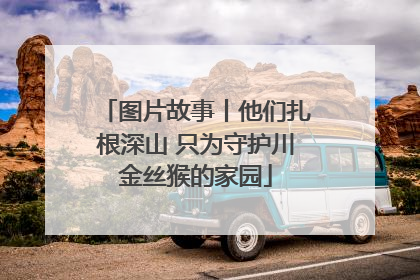 图片故事丨他们扎根深山 只为守护川金丝猴的家园