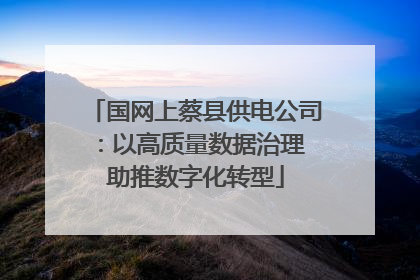 国网上蔡县供电公司：以高质量数据治理 助推数字化转型