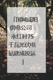 国网咸阳供电公司：永红村75千瓦光伏电站建成投运
