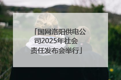 国网洛阳供电公司2025年社会责任发布会举行