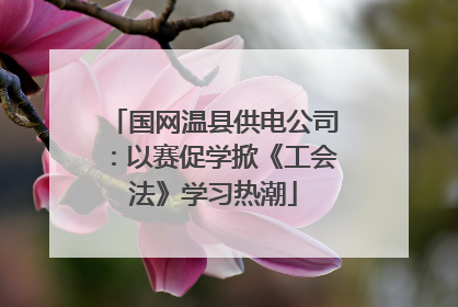 国网温县供电公司：以赛促学掀《工会法》学习热潮