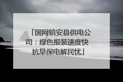 国网镇安县供电公司：绿色报装速度快 抗旱保电解民忧