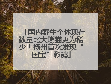 国内野生个体现存数量比大熊猫更为稀少！扬州首次发现“国宝”彩鹮