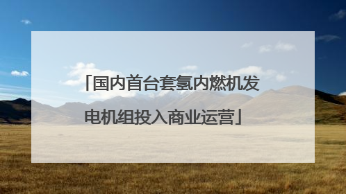国内首台套氢内燃机发电机组投入商业运营