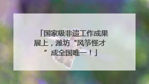 国家级非遗工作成果展上，潍坊“风筝怪才”成全国唯一！