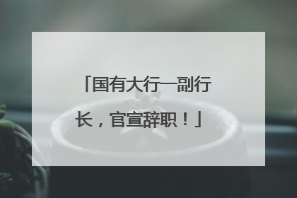 国有大行一副行长，官宣辞职！