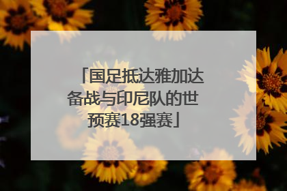 国足抵达雅加达备战与印尼队的世预赛18强赛