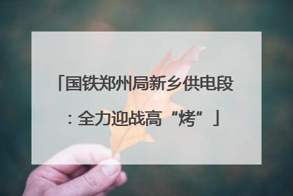 国铁郑州局新乡供电段：全力迎战高“烤”