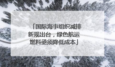 国际海事组织减排新规出台，绿色航运燃料亟须降低成本