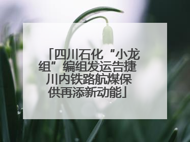 四川石化“小龙组”编组发运告捷 川内铁路航煤保供再添新动能