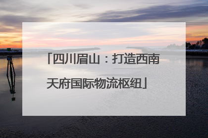 四川眉山：打造西南天府国际物流枢纽