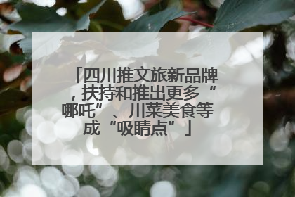 四川推文旅新品牌，扶持和推出更多“哪吒”、川菜美食等成“吸睛点”
