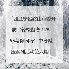 团辽宁省鞍山市委开展“轻松备考·12355与你同行”中考减压系列活动第六期
