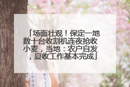 场面壮观！保定一地数十台收割机连夜抢收小麦，当地：农户自发，夏收工作基本完成