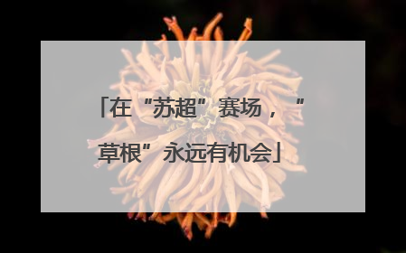 在“苏超”赛场，“草根”永远有机会