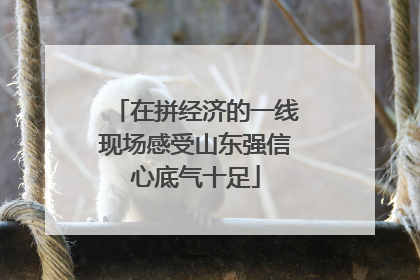 在拼经济的一线现场感受山东强信心底气十足