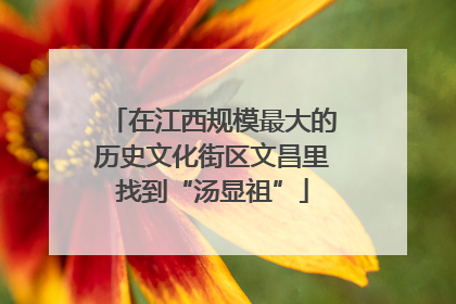 在江西规模最大的历史文化街区文昌里找到“汤显祖”