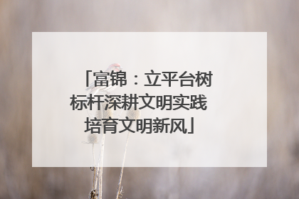 富锦：立平台树标杆深耕文明实践培育文明新风