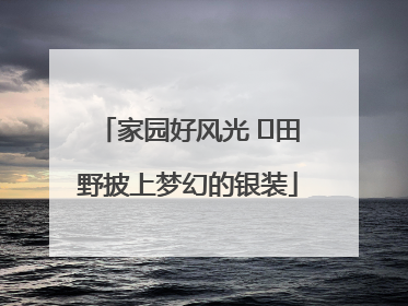 家园好风光 ⎮田野披上梦幻的银装