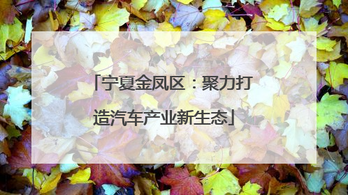 宁夏金凤区：聚力打造汽车产业新生态
