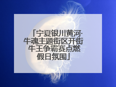 宁夏银川黄河·牛魂主题街区开街 牛王争霸赛点燃假日氛围