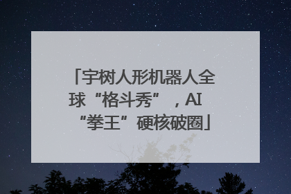 宇树人形机器人全球“格斗秀”，AI“拳王”硬核破圈