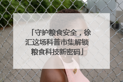 守护粮食安全，徐汇这场科普市集解锁粮食科技新密码