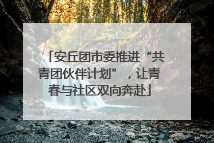 安丘团市委推进“共青团伙伴计划”，让青春与社区双向奔赴