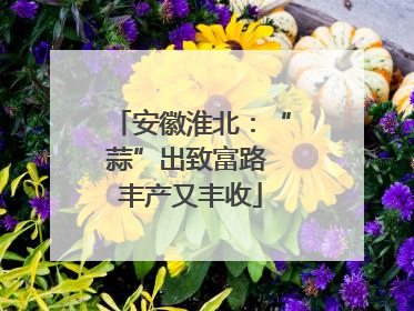 安徽淮北：“蒜”出致富路 丰产又丰收