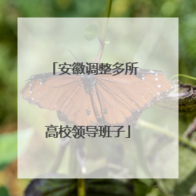 安徽调整多所高校领导班子