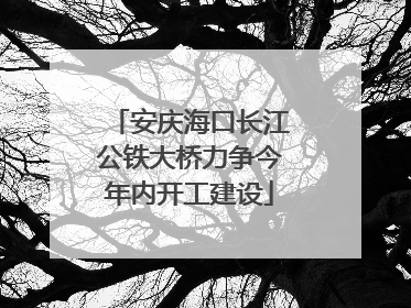 安庆海口长江公铁大桥力争今年内开工建设