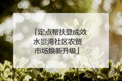 定点帮扶显成效 水景湾社区农贸市场焕新升级