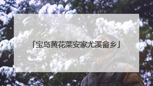 宝岛黄花菜安家尤溪畲乡