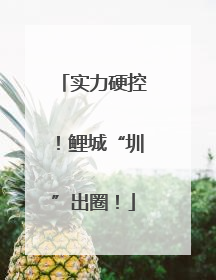 实力硬控！鲤城“圳”出圈！
