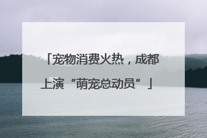 宠物消费火热，成都上演“萌宠总动员”